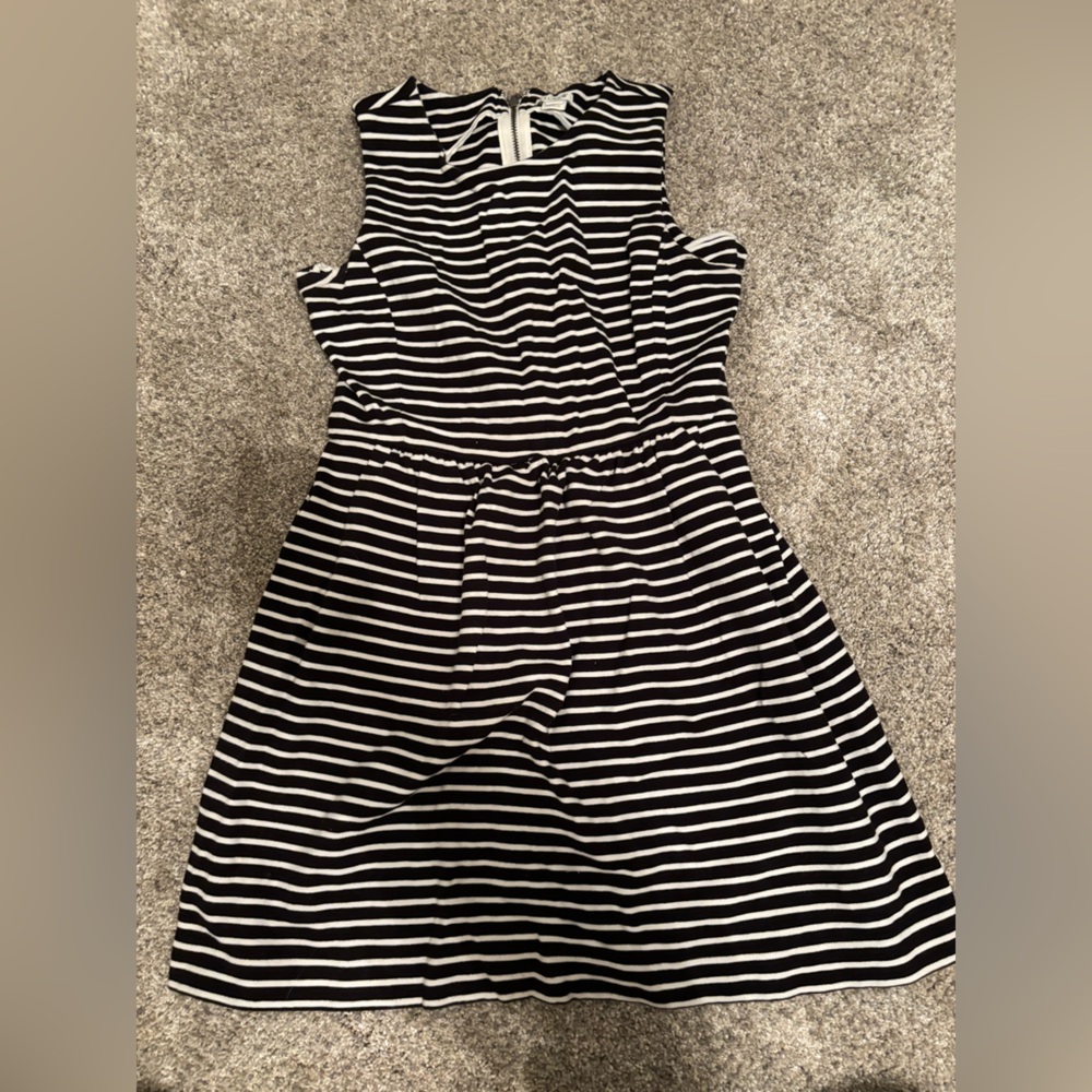 Striped Fit and Flare Dress